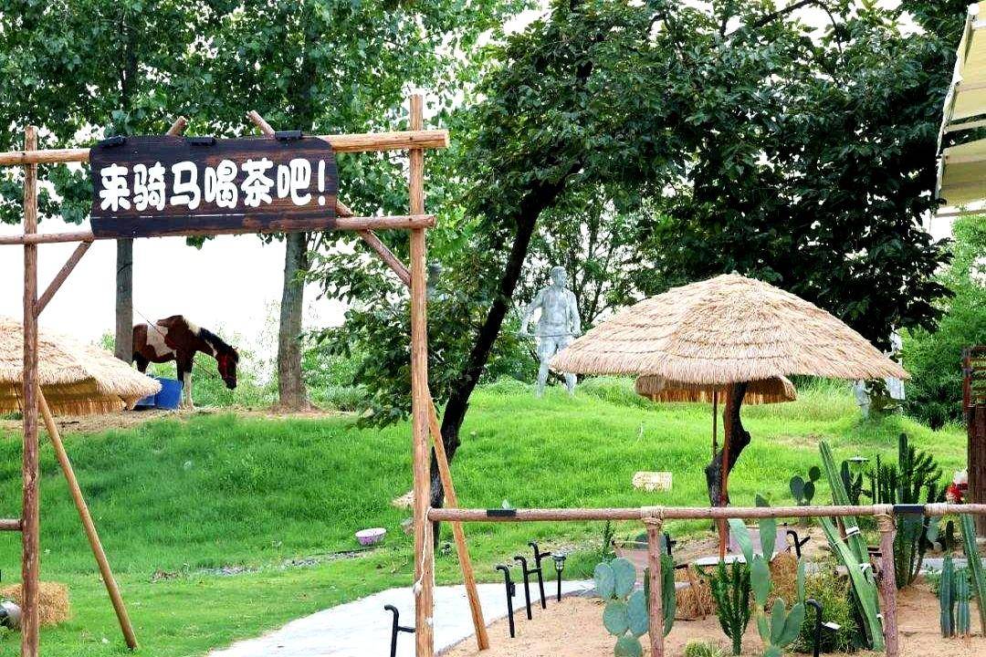 隔壁的蒙古, 明天早上五, 的弗里斯兰